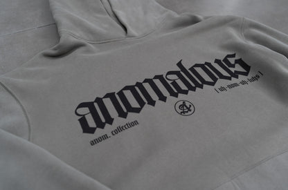 anomalous collection hoodie
