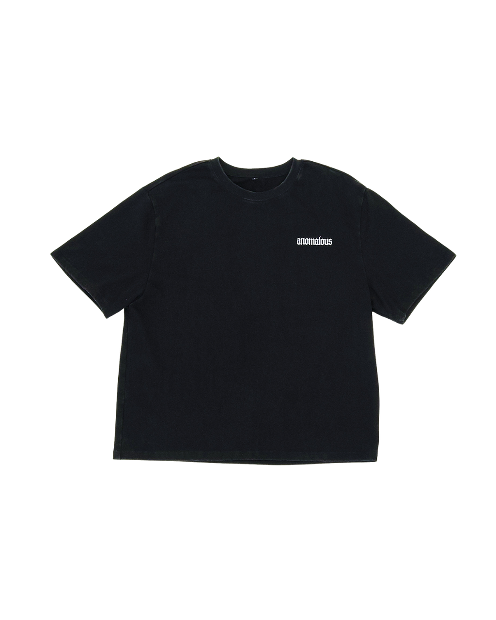 The Vessel Tee back view showing boxy fit and Anomalous lettering